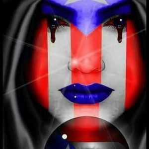 Meet your Posher, Otto